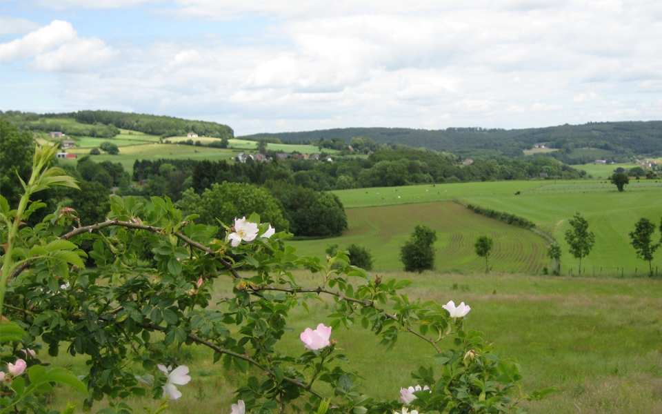 Aux alentours de Lafarques