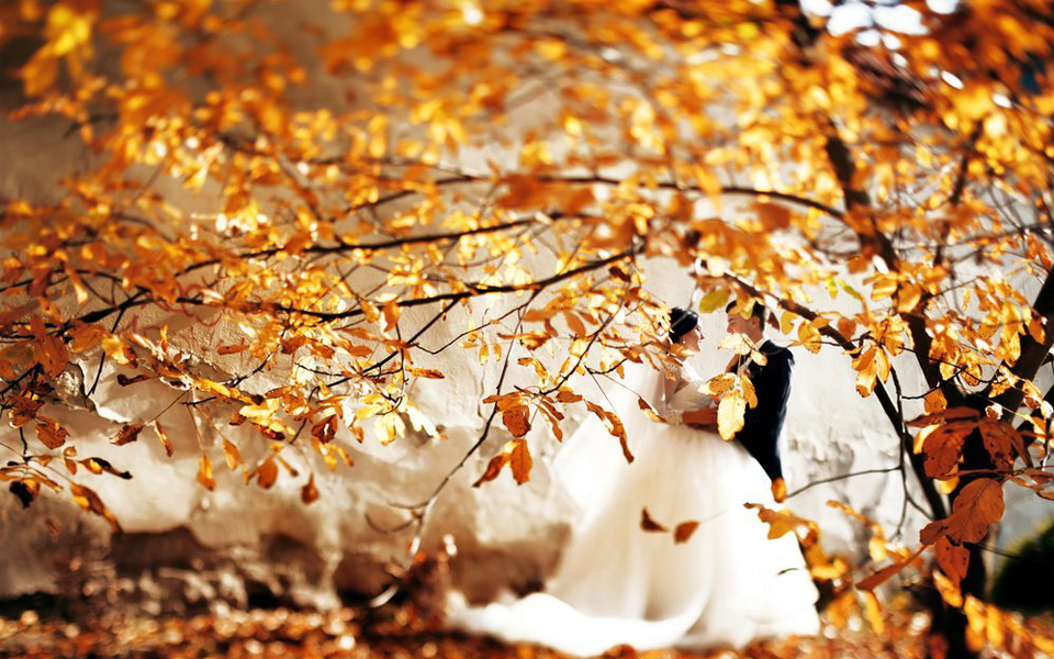 Salle de mariage à Verviers